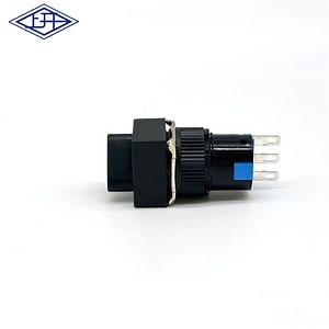 [Hot Item] Factory Custom 16mm Ax16 Series 2 Positions COM No Nc IP40 Rotary Switches