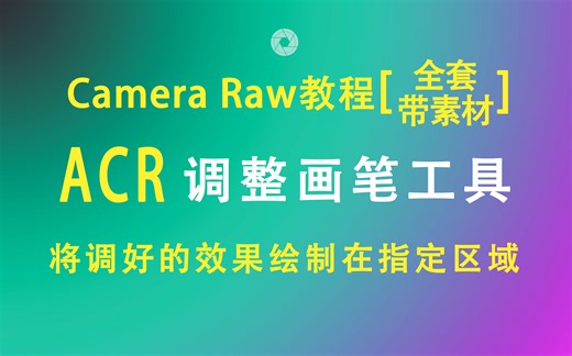 【PS】CameraRAW(ACR)|调整画笔工具|使用讲解(点击可看所有视频)