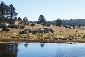 Mount Laguna Guide: Best Laguna Mountains Adventures 2020