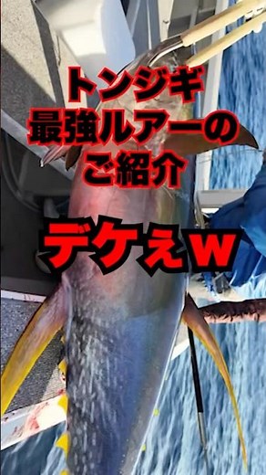 50キロのマグロが釣れるトンジギ最強ルアー、フルボのご紹介 #shorts #short #フルボ #青物 #ジギング #マグロ