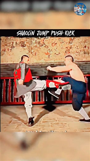 Shaolin monks fight #2026 #shaolin #fight #kick #imrankhan #HMAS #pali