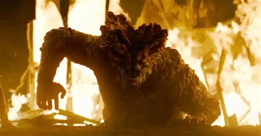 Qual o perigo real do fungo ‘zumbificador’ que inspirou ‘The Last of Us’? | É Tudo História