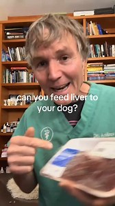 Organ meat for dogs- Healthy or Dangerous? #liver #doghealth #dogfood #petfood #petfood | Daily Pet Tips