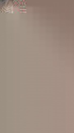 ART Gallery on Reels