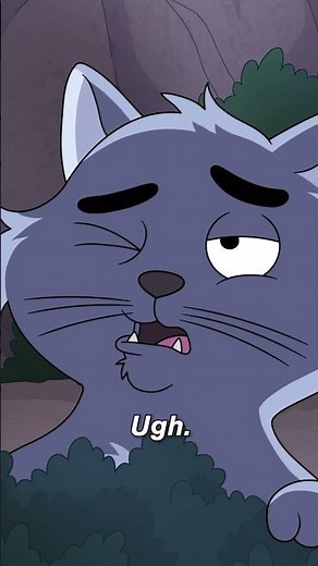 raccoon romance coaching #housebroken