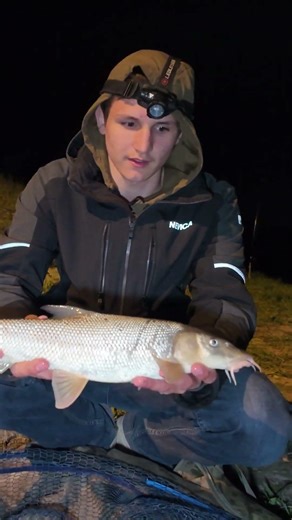 Fishing on the Danube with a special rig 🐟 #fishing #shorts