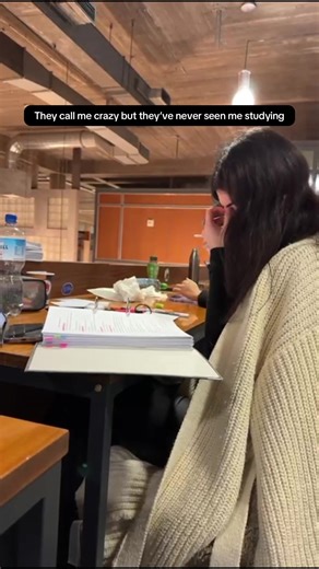 Effective Study Techniques for Law School Success