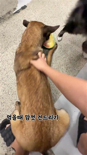 무관심이 젤 무서운법