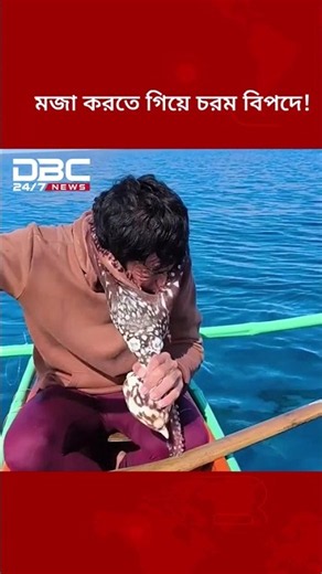 অক্টোপাসের সাথে মজা করতে গিয়ে চরম বিপদে! | DBC NEWS