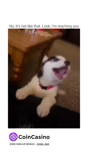 Zooo on Instagram: "The United States has started an innovative project that turns something ordinary -walking your dog - into a source of renewable power. In 2025, the city of Austin, Texas became the first in the country to install PawPrint Power Paths, special walkways that generate electricity from footsteps and paw pressure. The idea is simple but brilliant. Each tile under the pavement is made with piezoelectric material, which means it can convert movement into energy. When a person or do