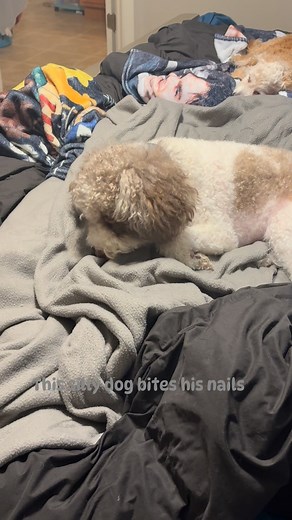 Nemo biting his nails | Tiffany Carver
