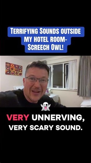 Terrifying sounds outside window- Screech Owls!! #horror #scary #wildlife #animals #birds #mystery