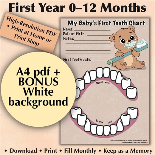 Baby First Teeth Chart Printable | Bear Design, 0-12 Months (A4 PDF   Bonus Background - Etsy