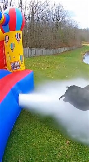 22M views · 186K reactions | When the snapping turtle bites the bounce house  | Evan Era | Facebook