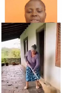 Animal vs woman #fyp | ABK Faith Tom Tom