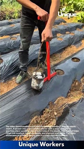 Efficient Seedling Planter: Planting Through Plastic Mulch