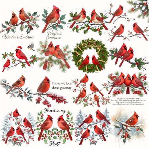 Red Cardinal Christmas Clipart Png Bundle, Cardinal Png, Memorial Christmas Png, Ornament Designs, Merry Christmas, Red Bird Cardinal Png - Etsy