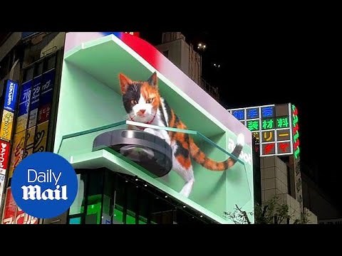 Giant 3D cat appears on a billboard in Tokyo for robot vacuum advert