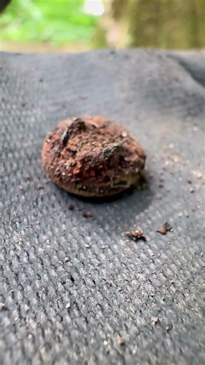 Snap #environmentalcleanup #metaldetecting