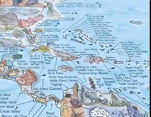 The DIVE MAP: Over 500 dive spots and areas, information about type of dive and underwater features. Get inspired for future trips, track your travels or simply marvel at the beautiful world of diving. | Awesome Maps