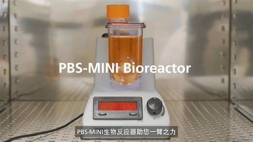 PBS-MINI生物反应器轻松实现高效大规模的3D hPSC培养