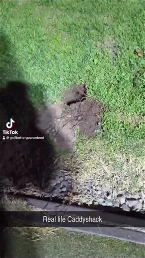 Real life Caddyshack for sure! | Imagen Golf - Golf Better Guaranteed