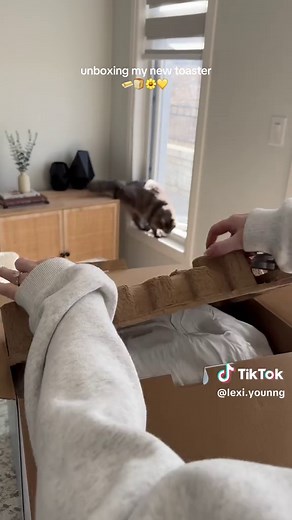 Unboxing a New 4 Slice Toaster for Perfect Toast