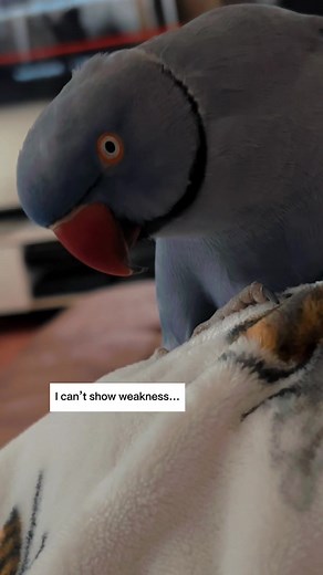 Dont let the cute fool you!