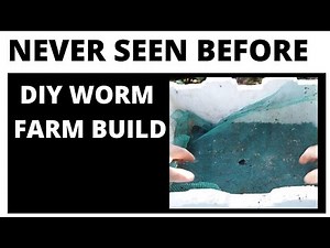 DIY Worm Farm Build with WORM TRAP