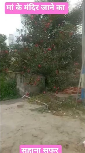 Aaj ham sab milkar maa se aa raha hai #bhojpurisong #song #bhojpuri #bolleywoodsong #funny ##love #c