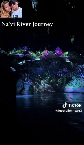Experiencing the Na'vi River Journey at Disney World