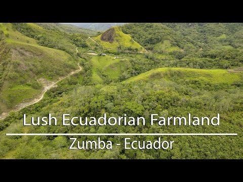 For Sale Lush Ecuadorian Farmland | Zumba, Ecuador Real Estate