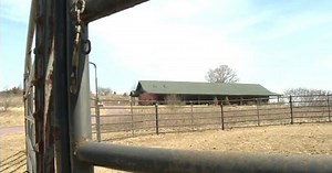 Kids’ Ranch saved from uncertain future