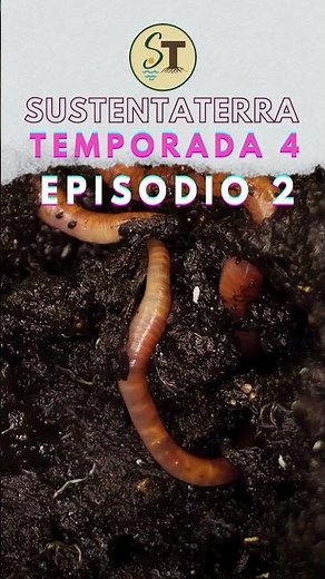 Transforma tus residuos en vida 🌿 Hagamos Composta ♻️