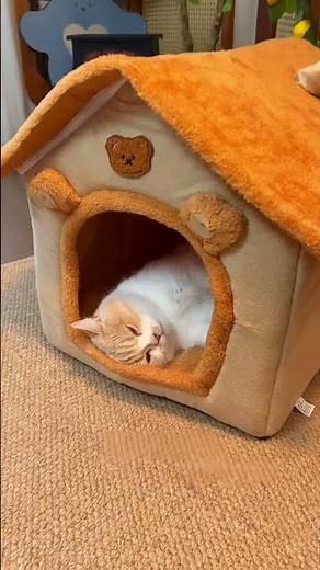 【必見】猫が幸せすぎる冬用の家❄️寒さ対策に最適！#猫グッズ