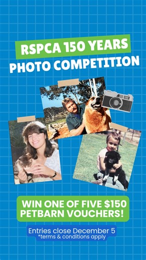 2.7K views · 11 reactions | ⭐ We’re celebrating 150 years of RSPCA SA...