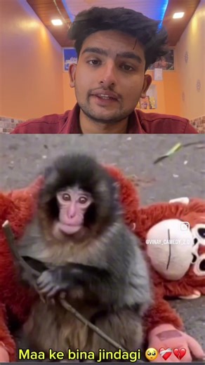 Viral Monkey 🐒 story