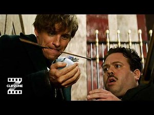 Fantastic Beasts and Where to Find Them | The Bank Heist and the Egg | ClipZone: Heroes & Villains