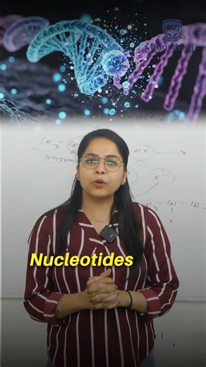 DNA Replication is the process by which a cell makes an exact copy of its DNA. 🧬