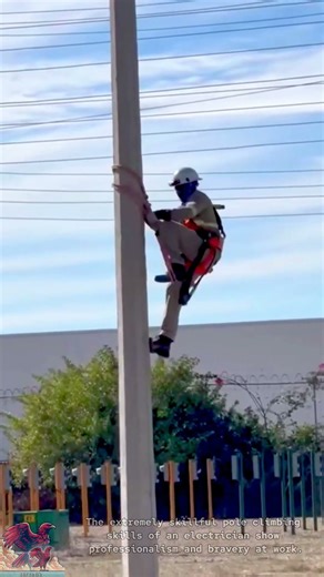 | Amazing Professional Pole Climbing Skills #tools #shorts #viral