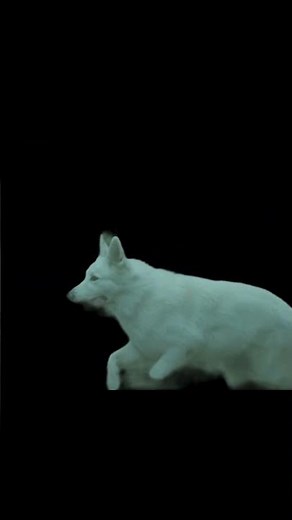 Fablehaven From Book to Screen with Alpha Wolf's Voice! Introduction🎥 #FablehavenSeries #fablehaven