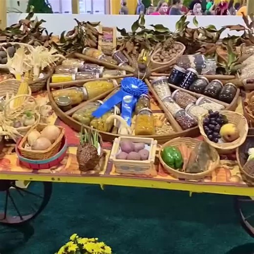 1.7K views · 46 reactions | The #SCStateFair showcases the best farmers from across the state. 2022 SC State Fair: Oct. 12-23 Buy discount tickets now at scstatefair.org or at Circle K stores. | South Carolina State Fair | Facebook