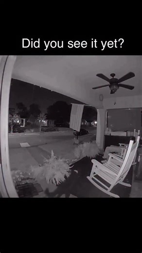 Jason Linton on Instagram: "The awareness was set to the off position because I swear my hair would’ve stood on end if someone was that unexpectedly close to me or someone I loved in this situation. #instadaily #wow #awareness #safety #home"