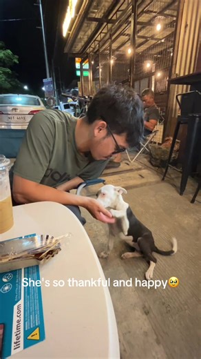 The Joy of a Rescued Dog: Love and Happiness