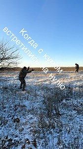 649K views · 10K reactions | Morning dance. | In Ukraine | Facebook