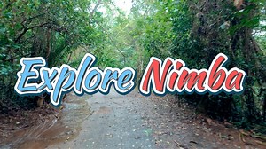 Explore Nimba County, Liberia | West Africa #Nimba #MountNimba #Liberia #NimbaMountain #NimbaCounty #LiberianTourism #Liberia #Yekepa #LiberianVlogger #LiberiaTravel #WestAfricaTravel #AfricaTravel #NatureTravel #Ecotourism #AdventureTravel #MountainTravel #HikingTravel #WildlifeTravel #StunningViews #HiddenGems #OffTheBeatenPath #TravelVlog #TravelVideo #LiberiaMustSee #NimbaMustSee | De Licia Life N Travel