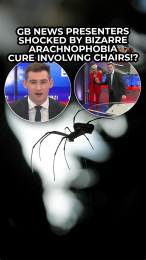 GB News presenters were left stunned after an expert shared a surprising new theory on how to cure arachnophobia. According to Dr.James O’Hanlon, simply staring at four-legged chairs could cure your fear of spiders. #Arachnophobia #Spiders #GBNews | GB News