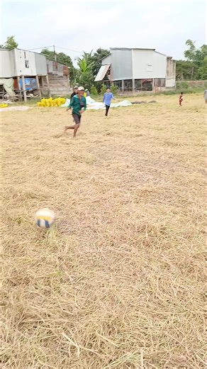 Hướng Dẫn Vác Lúa Dễ Dàng Với CapCut