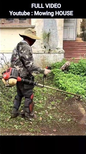 The abandoned house was completely swallowed by trees #deepcleaning #houserestoration