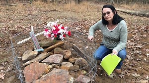 Dog run over by FedEx truck; driver speeds off